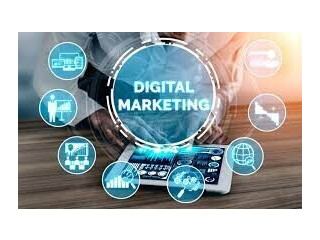 Digital Marketing Company in Delhi