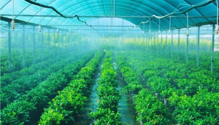 largest-green-shade-net-suppliers-in-uae-srk-metals-big-0