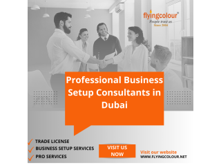 Professional Busines Consulting Services In Dubai