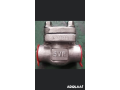 swing-checkvalve-manufacturer-small-0