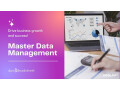 transforming-data-integrity-master-data-management-services-by-db-uae-small-0