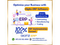 digitz-erp-software-small-0