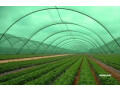 buy-greenhouse-shade-net-in-uae-srk-metals-small-0