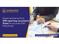 esr-filing-specialist-dubai-small-0