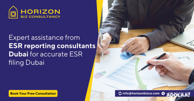 esr-filing-specialist-dubai-big-0