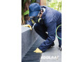 comprehensive-industrial-pest-control-solutions-small-1