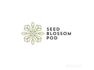 Seed Blossom Pod