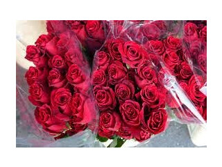 Valentines day flowers Melbourne | Theflowershed