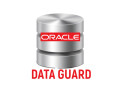 oracle-dataguard-online-training-coaching-course-in-india-small-0