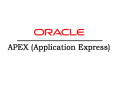 oracle-apex-application-expressonline-training-course-in-india-small-0