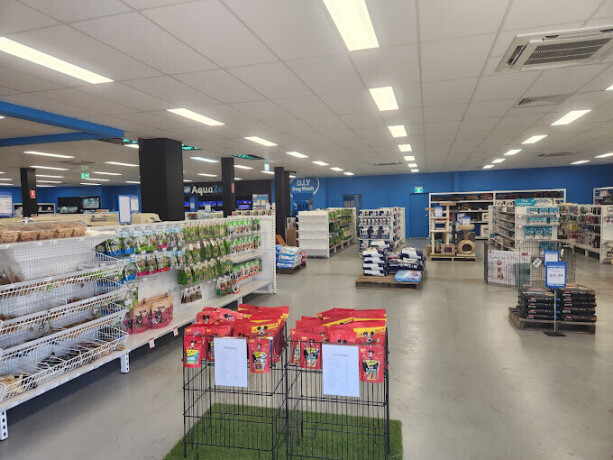 pets-domain-swan-hill-vic-big-0