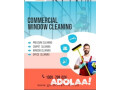 goldclean-cleaning-services-carlton-nsw-2218-sydney-small-1