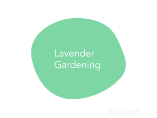 Lavender Cleaning - Lavender Cleaning Pty Ltd