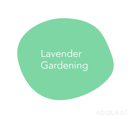 lavender-cleaning-lavender-cleaning-pty-ltd-big-0