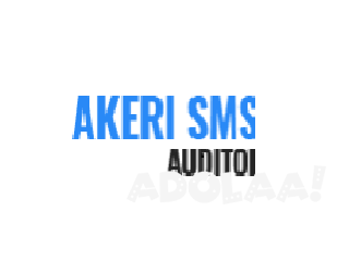 Akeri Tax Accountants trading as Akeri SMSF Auditing