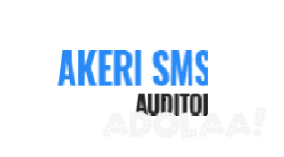 akeri-tax-accountants-trading-as-akeri-smsf-auditing-big-0