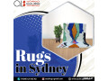 rugs-in-sydney-small-0