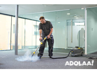 The best Pet Odour removal - yourlocalcarpetcleaner