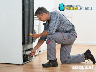 Same-day Fridge Repair Services in Kingswood