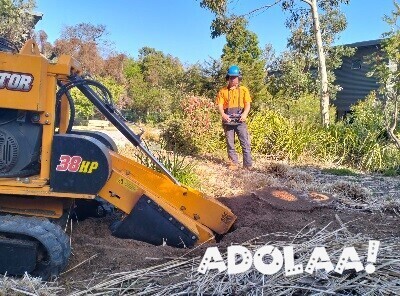 get-one-of-the-best-stump-grinding-removal-in-geelong-big-1