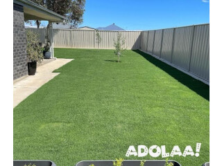 Best Lawn installation Services in Mile End