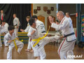 taekwondo-riverwood-expert-martial-arts-training-for-all-ages-small-0