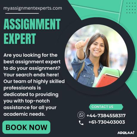 assignment-expert-big-0