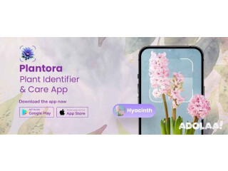 Best App for Plant Care & Identification Plantora