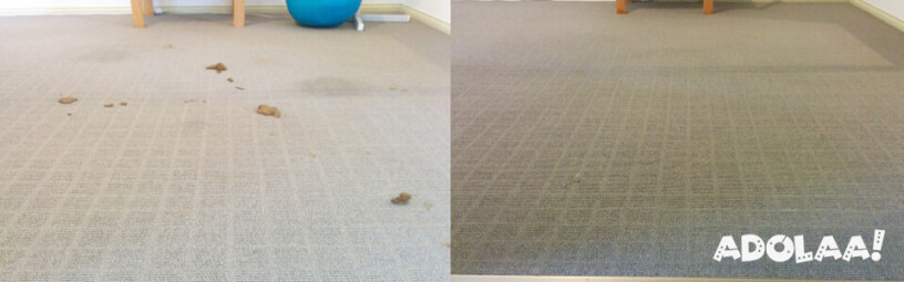 find-holistic-cleanup-solutions-from-the-best-carpet-cleaning-company-in-adelaide-big-0