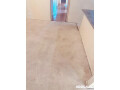 remove-rigid-grime-and-filth-with-holistic-carpet-cleaning-services-near-me-small-0