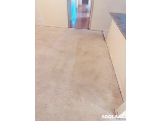 Remove rigid grime and filth with holistic Carpet cleaning services near me