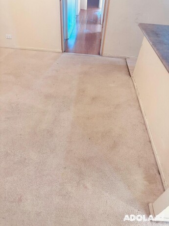 remove-rigid-grime-and-filth-with-holistic-carpet-cleaning-services-near-me-big-0
