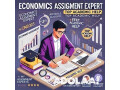best-economics-assignment-expert-trusted-academic-help-small-0