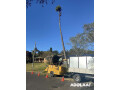 best-tree-removal-services-in-north-avoca-small-0