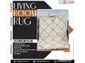 living-room-rug-aualirug-small-0