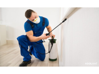 The Value Of Pest Control In Preventing Unwanted Visitors