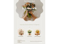 same-day-flower-delivery-kingsville-small-0