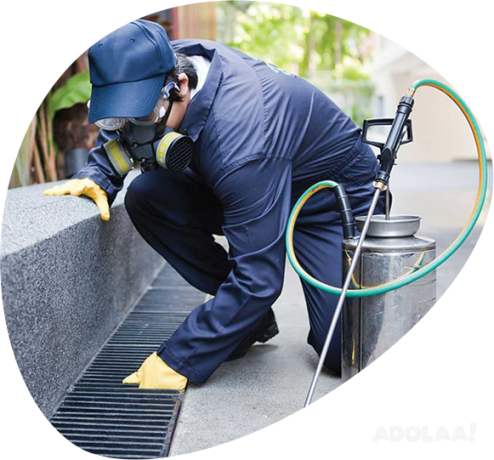 advanced-pest-control-solutions-for-a-pest-free-environment-in-sydney-big-1