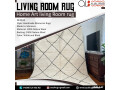 living-room-rug-small-0