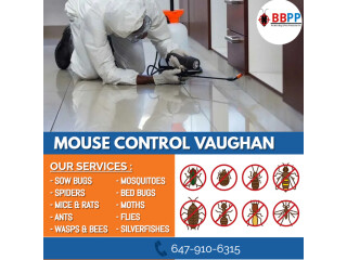 Mice Control Vaughan | Mouse Control Vaughan