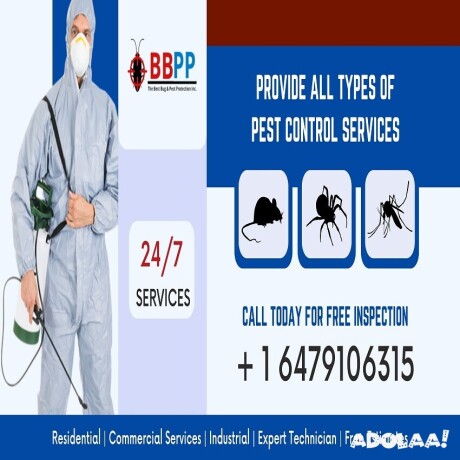rat-exterminator-service-in-thornhill-bbpp-pest-control-big-0