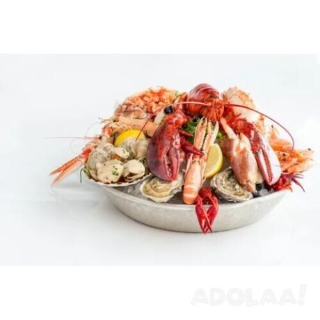 buy-wholesale-seafood-big-0