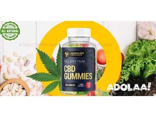 Where Can You Buy Canna Bee CBD Gummies?