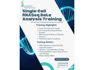 SINGLE CELL RNASeq