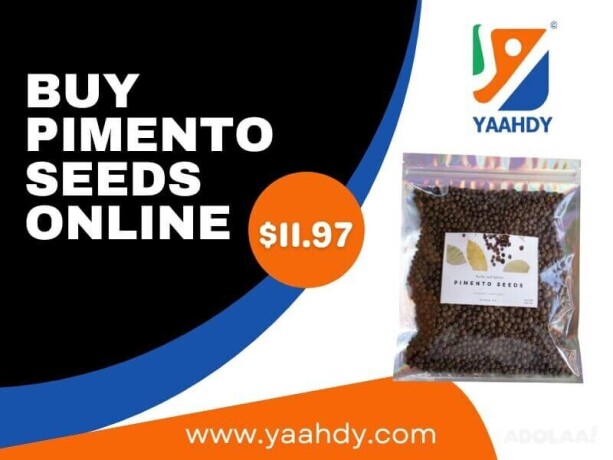 buy-pimento-seeds-online-at-yaahdycom-big-0