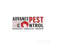 advance-pest-control-small-0