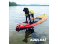 neopaws-life-vestsjackets-in-toronto-stylish-safety-for-your-water-loving-pooch-small-0