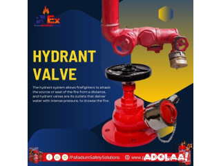 Fire Hydrant Valve