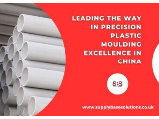 Leading the Way in Precision Plastic Moulding Excellence in China