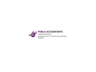 Public Accountants